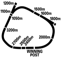 Morphettville Racecourse